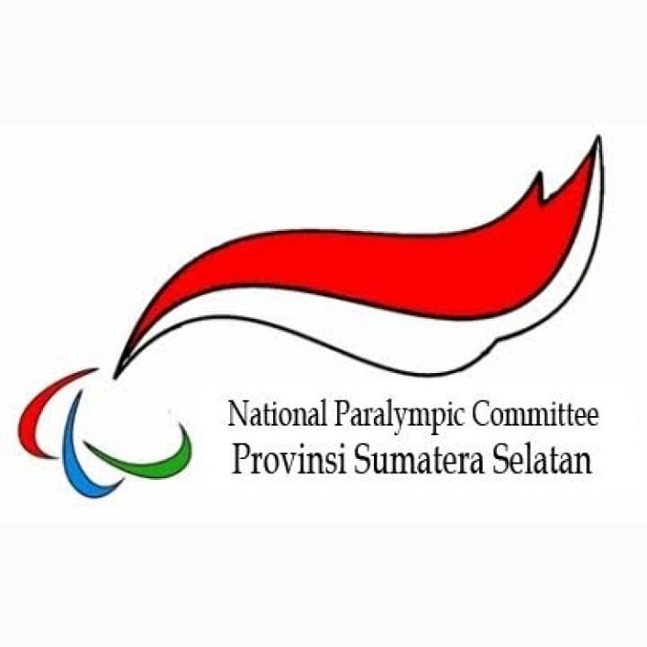 Logo NPCI Sumsel